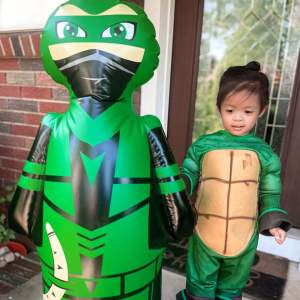 ninja-turtle-archy