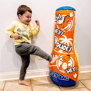 kicking-target-bag