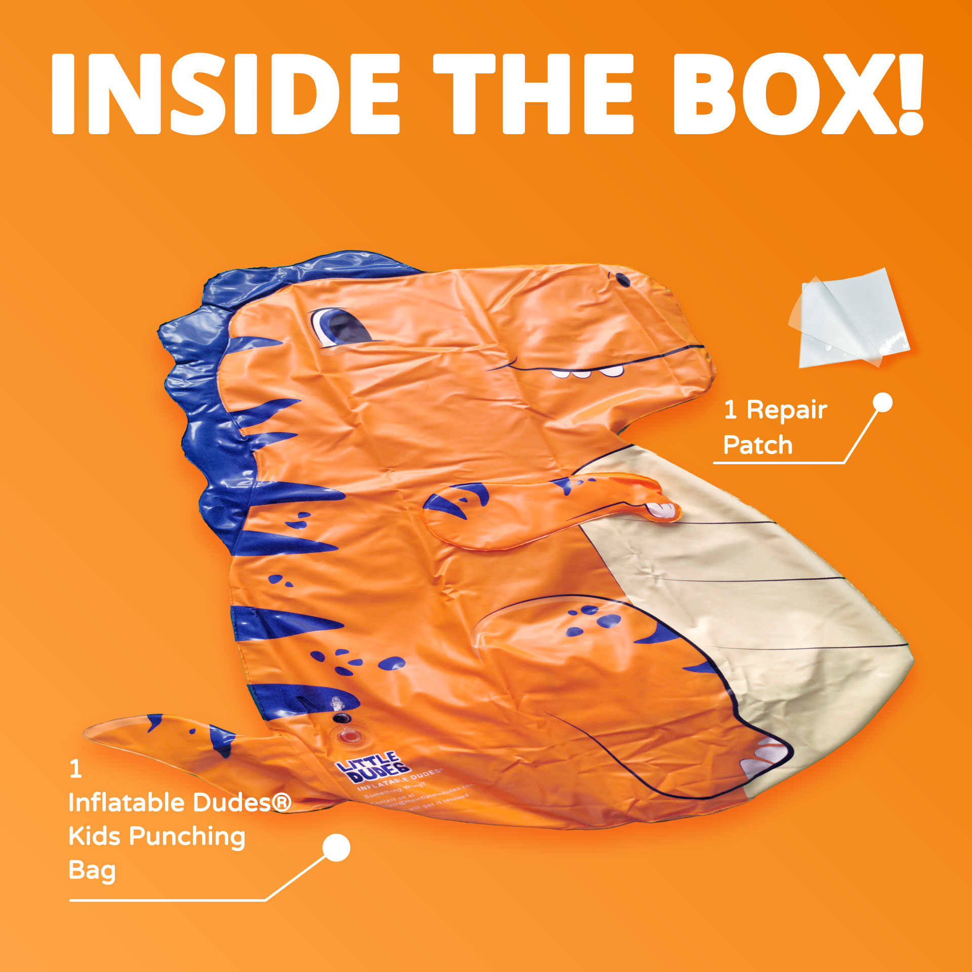 Little Dudes™ REX - Image 7