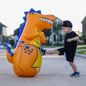 kicking-rex-outdoor-playtime