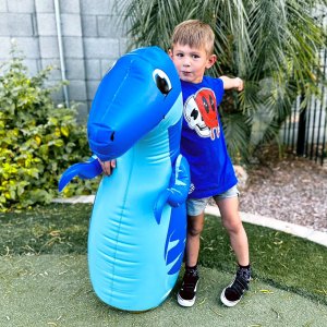 vee-boy-raptor-garden-playtime-full