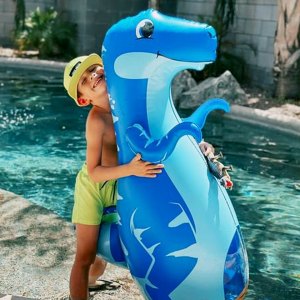 vee-in-the-pool