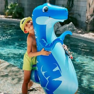 vee-in-the-pool-full